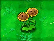 植物大战僵尸-孪生向日葵(向日葵双胞胎) Twin Sunflower 植物大战僵尸-孪生向日葵(向日葵双胞胎) Twin Sunflower
