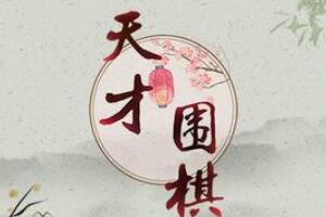 天才围棋高手最爱的围棋对弈，游戏玩法大解析