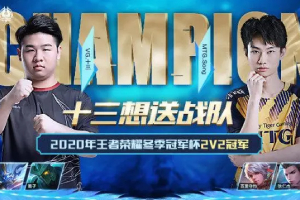 2020年王者荣耀冬冠2V2十三想送战队获冠军