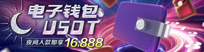 USDT+电子钱包夜间入款16,888